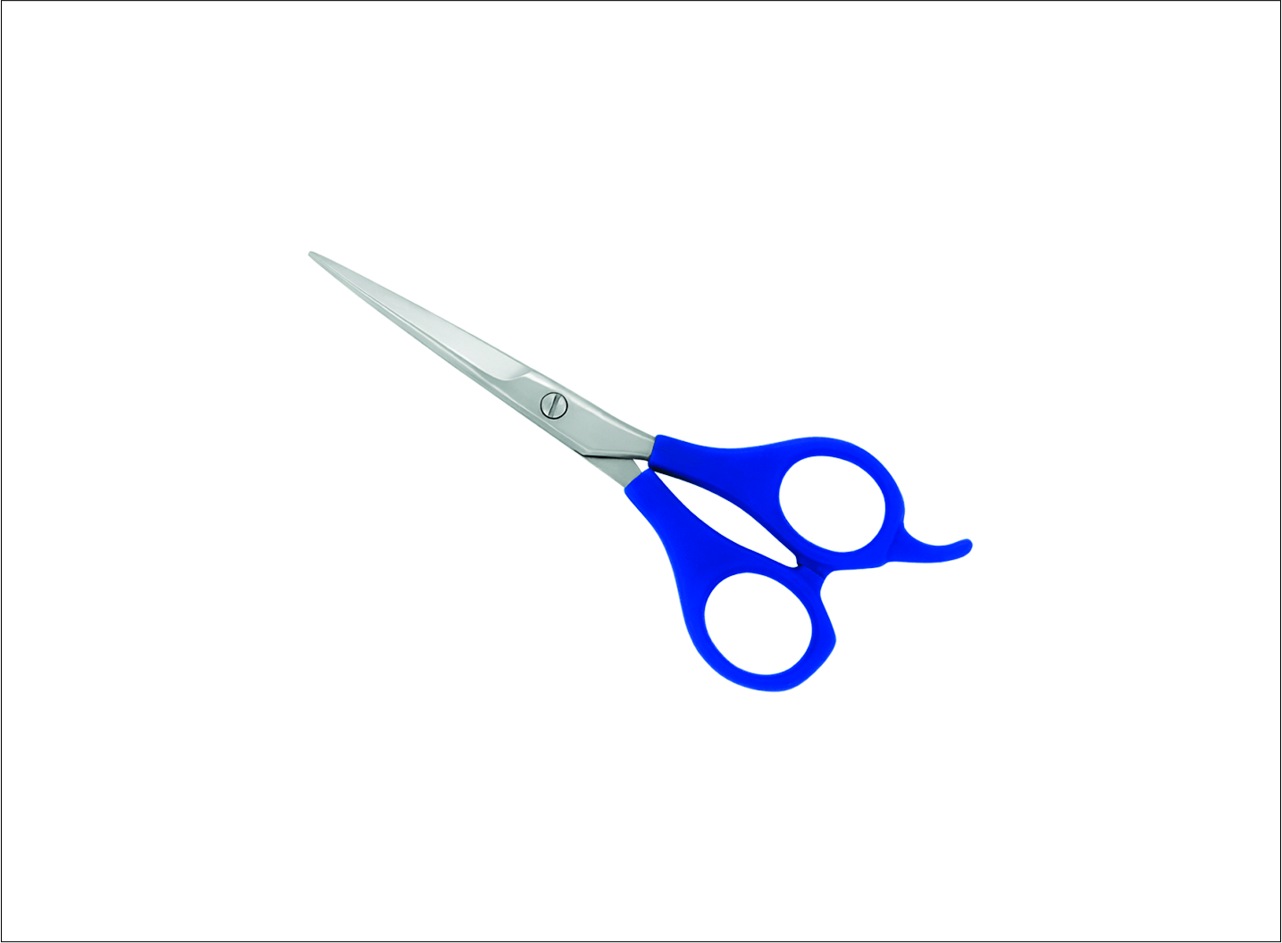 Plastic Handle Barber Scissors