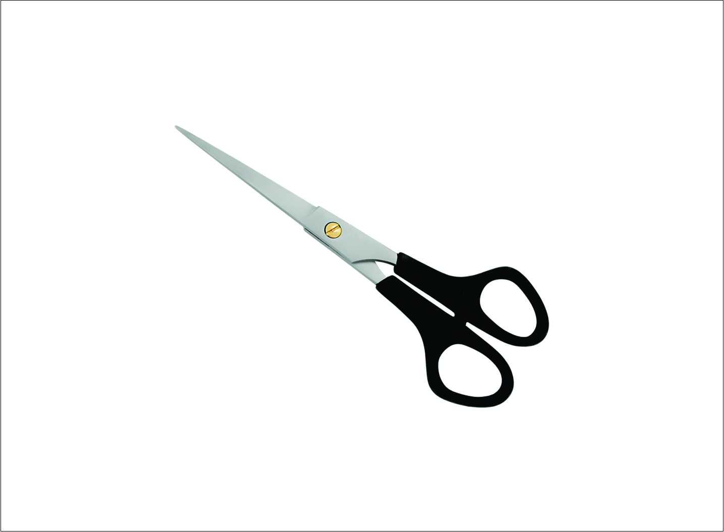 Plastic Handle Barber Scissors