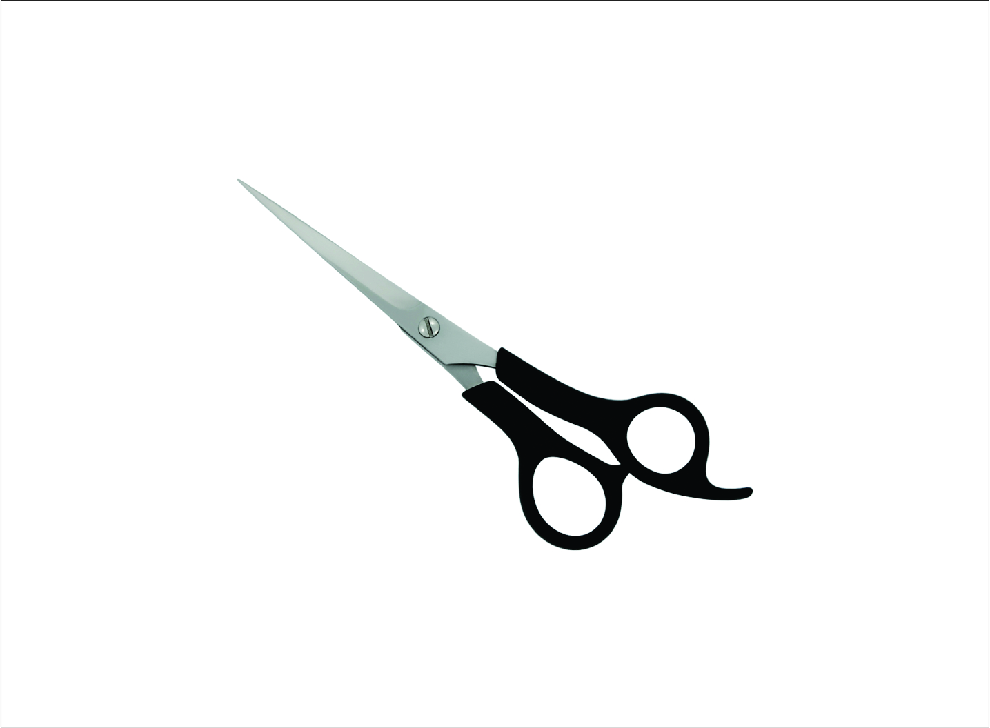 Plastic Handle Barber Scissors
