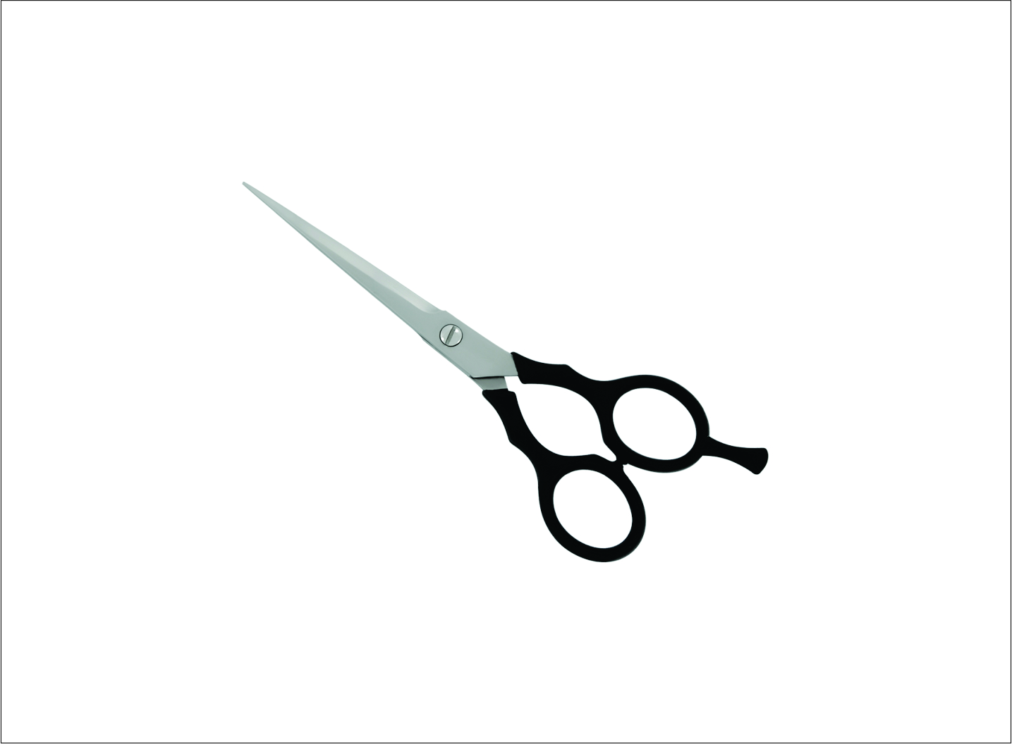 Plastic Handle Barber Scissors