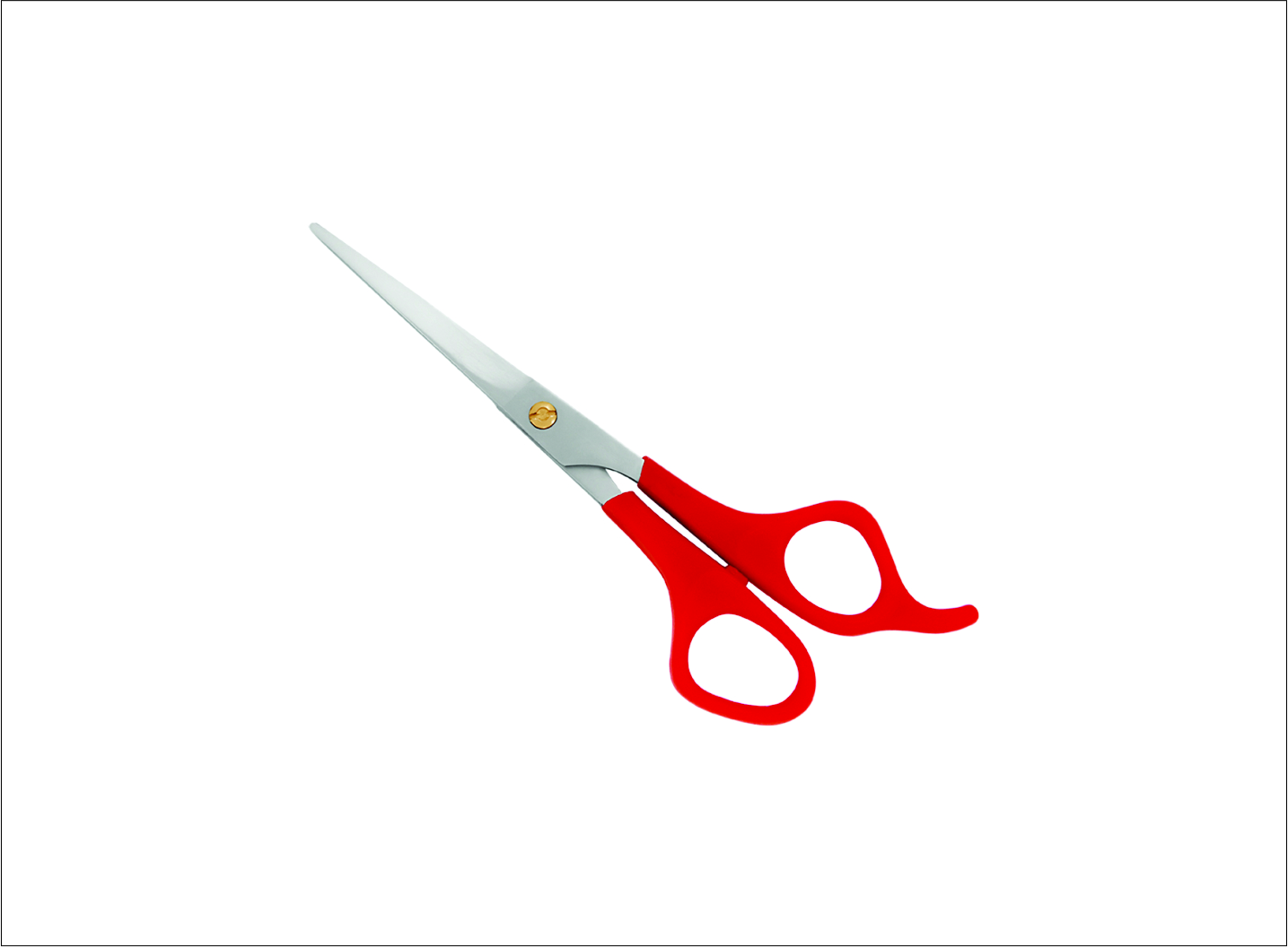 Plastic Handle Barber Scissors