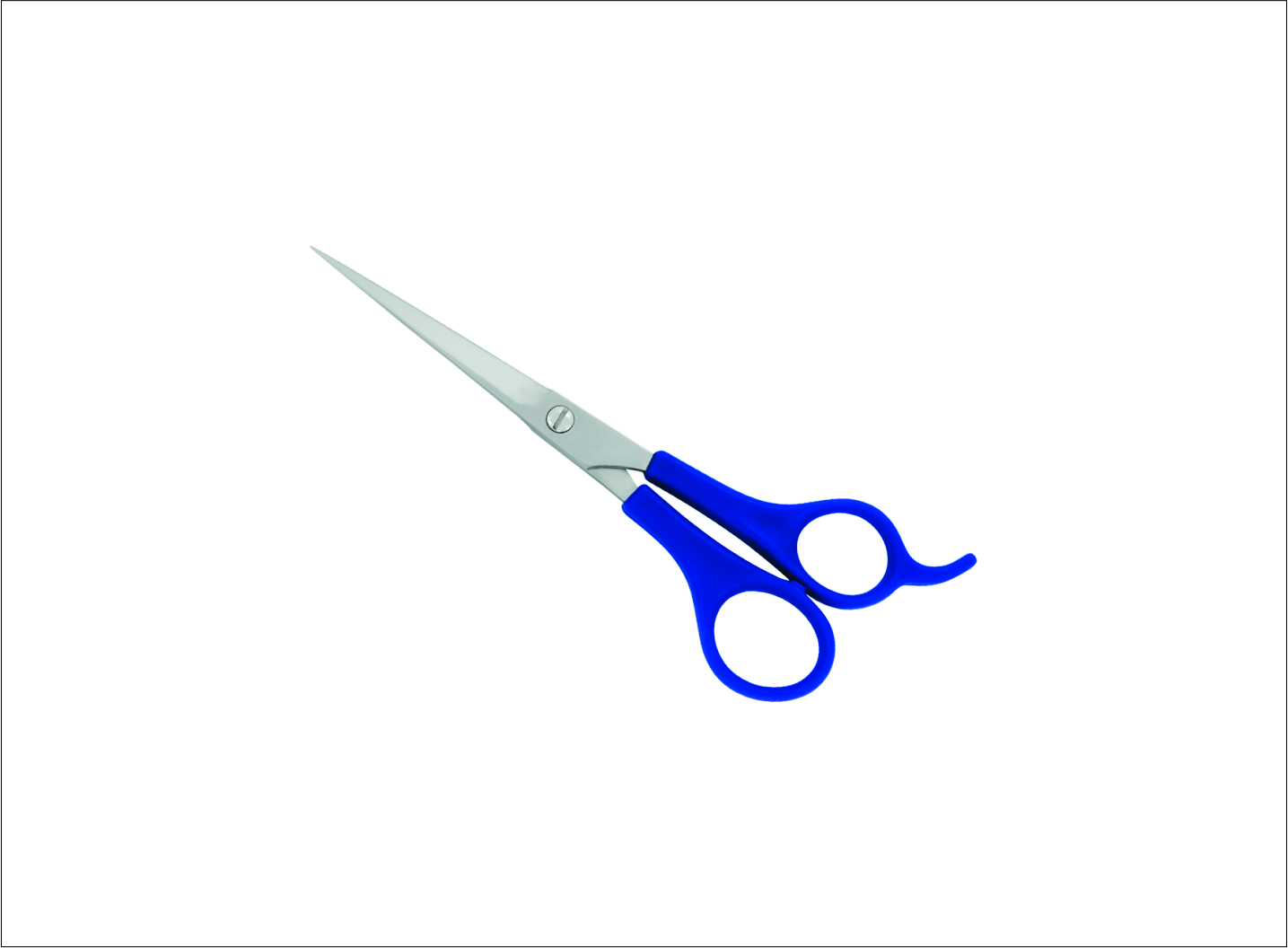 Plastic Handle Barber Scissors