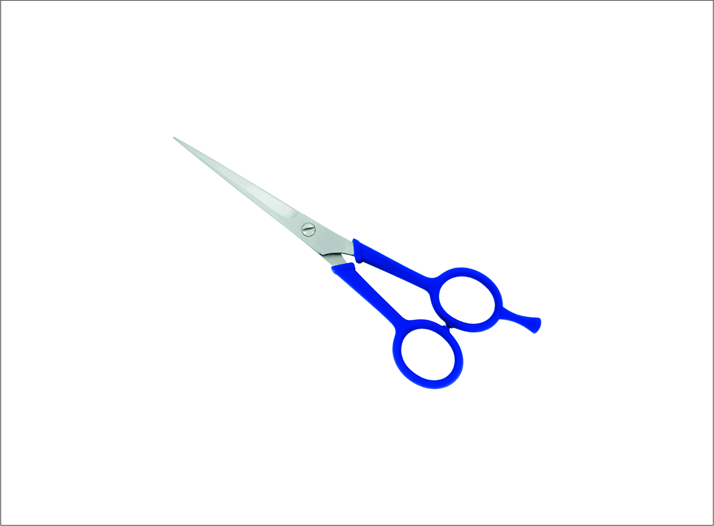Plastic Handle Barber Scissors