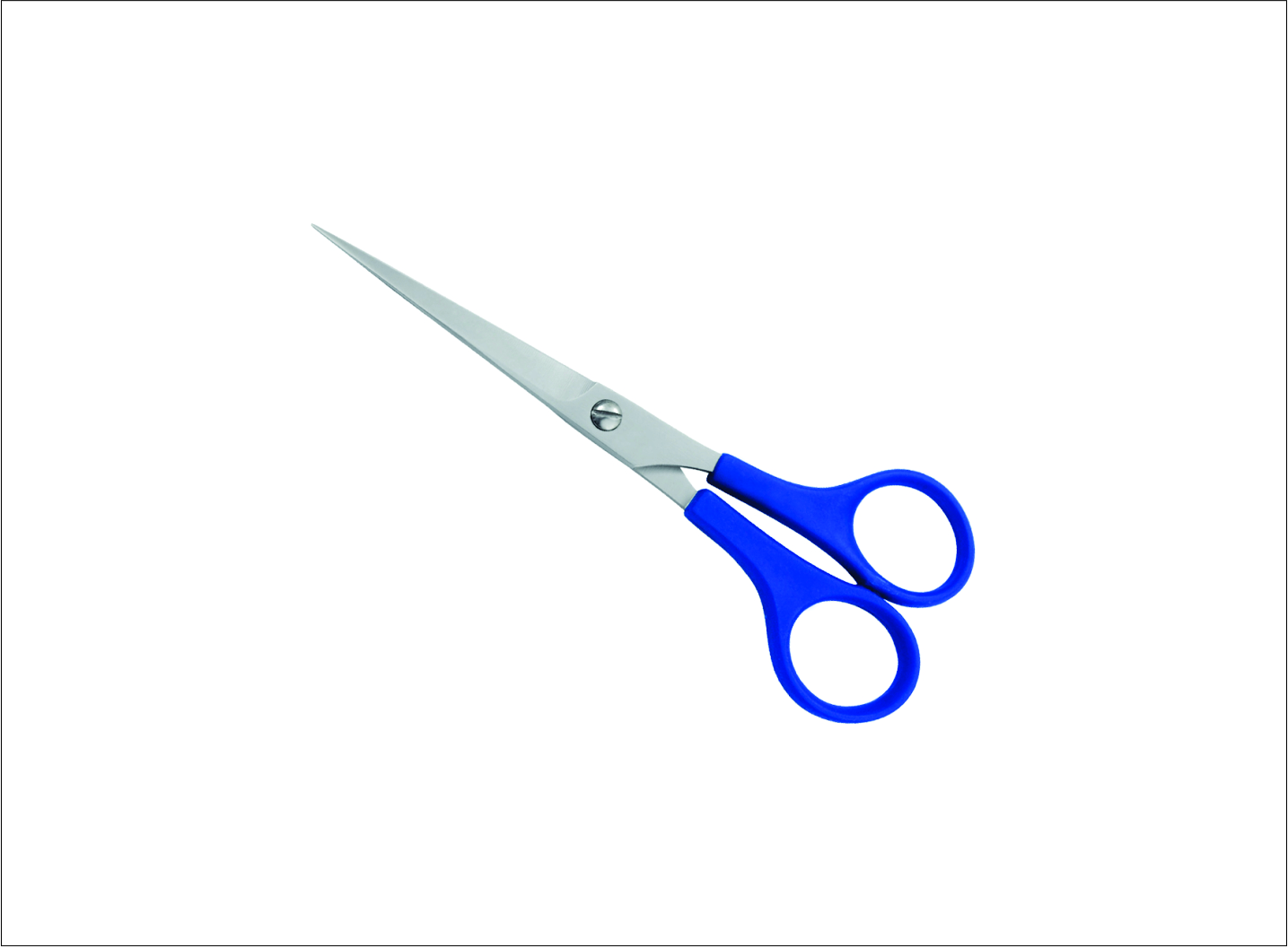 Plastic Handle Barber Scissors