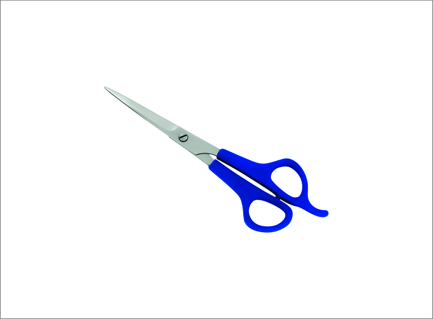 Plastic Handle Barber Scissors