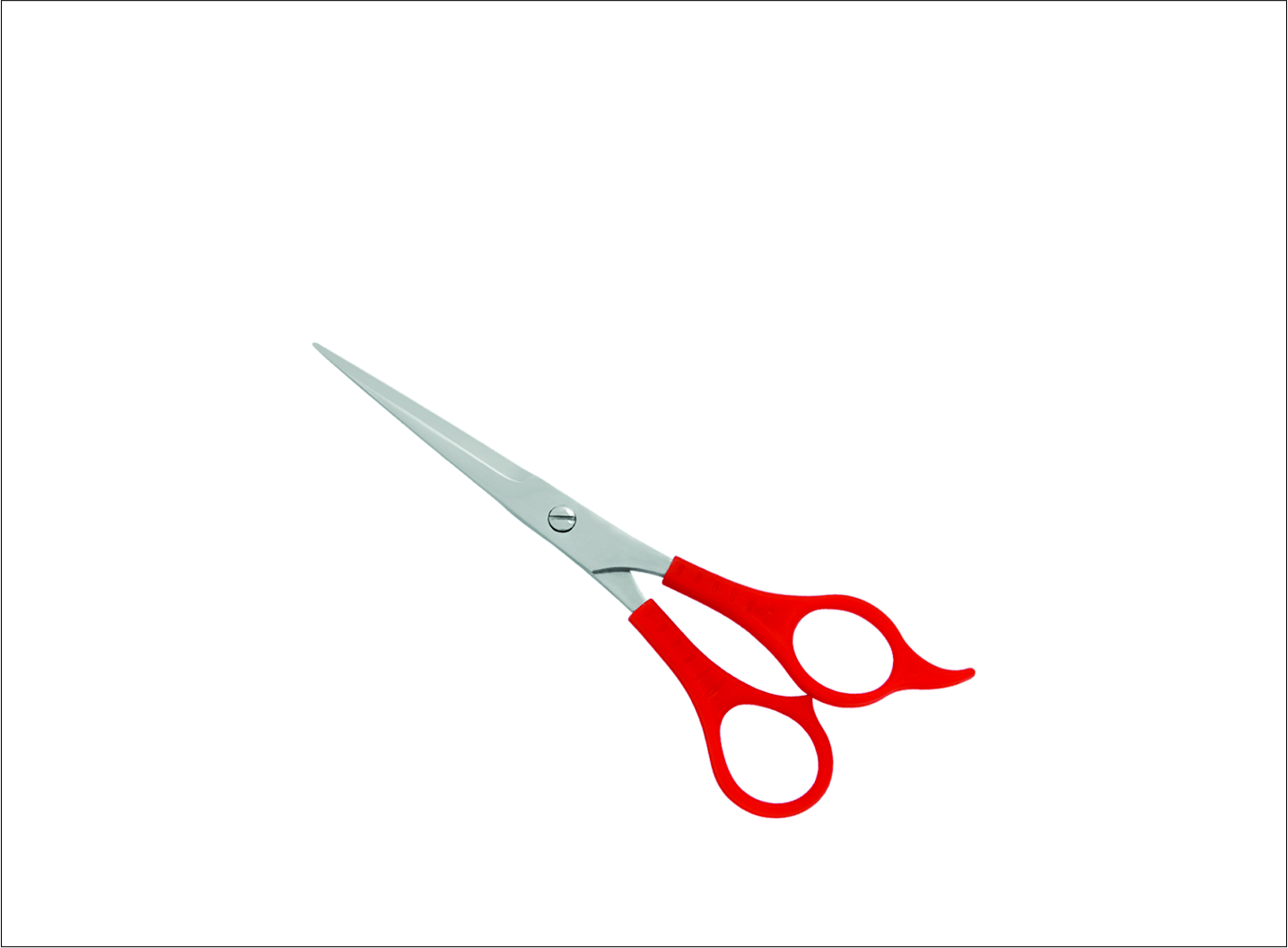 Plastic Handle Barber Scissors