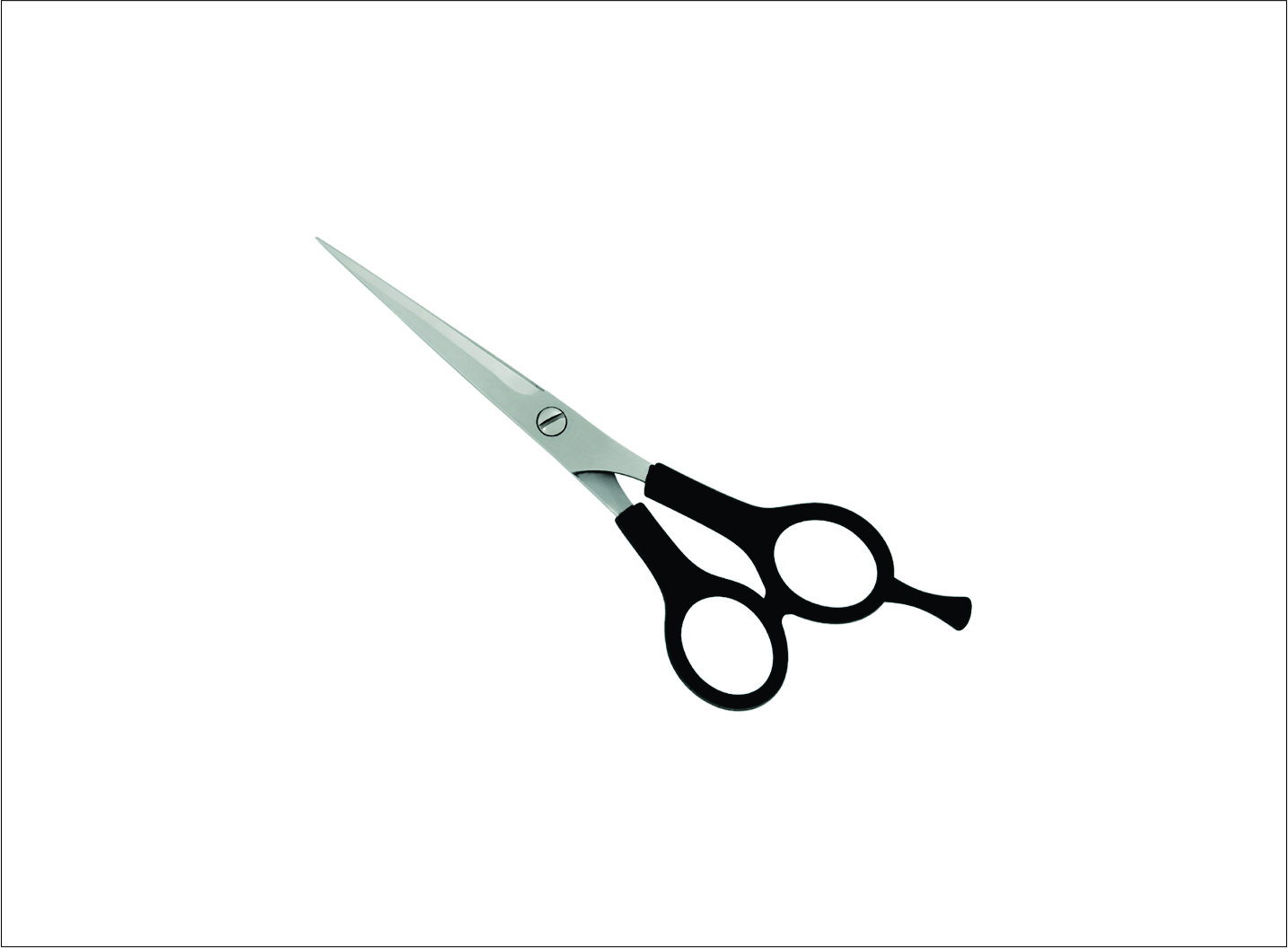 Plastic Handle Barber Scissors