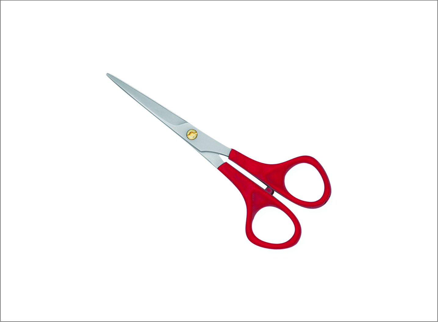 Plastic Handle Barber Scissors