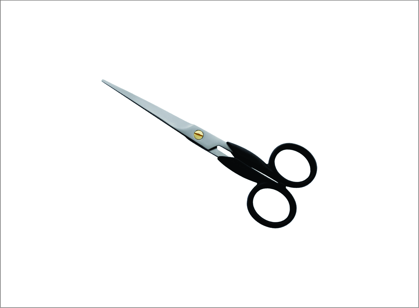 Plastic Handle Barber Scissors