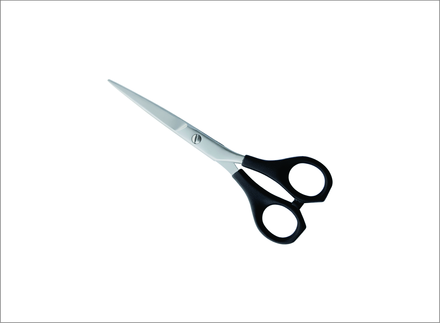 Plastic Handle Barber Scissors
