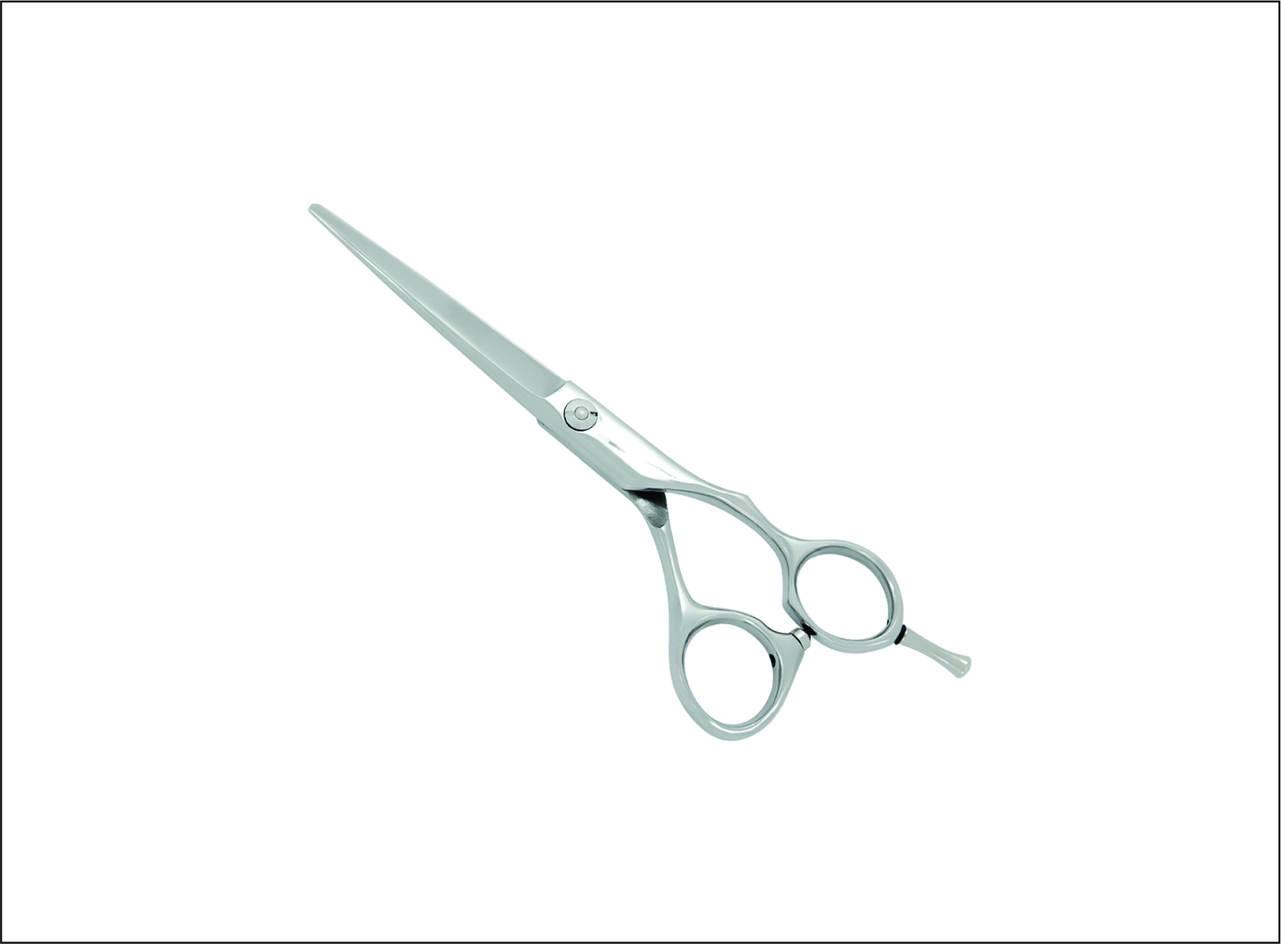 Professional Barber Scissors
