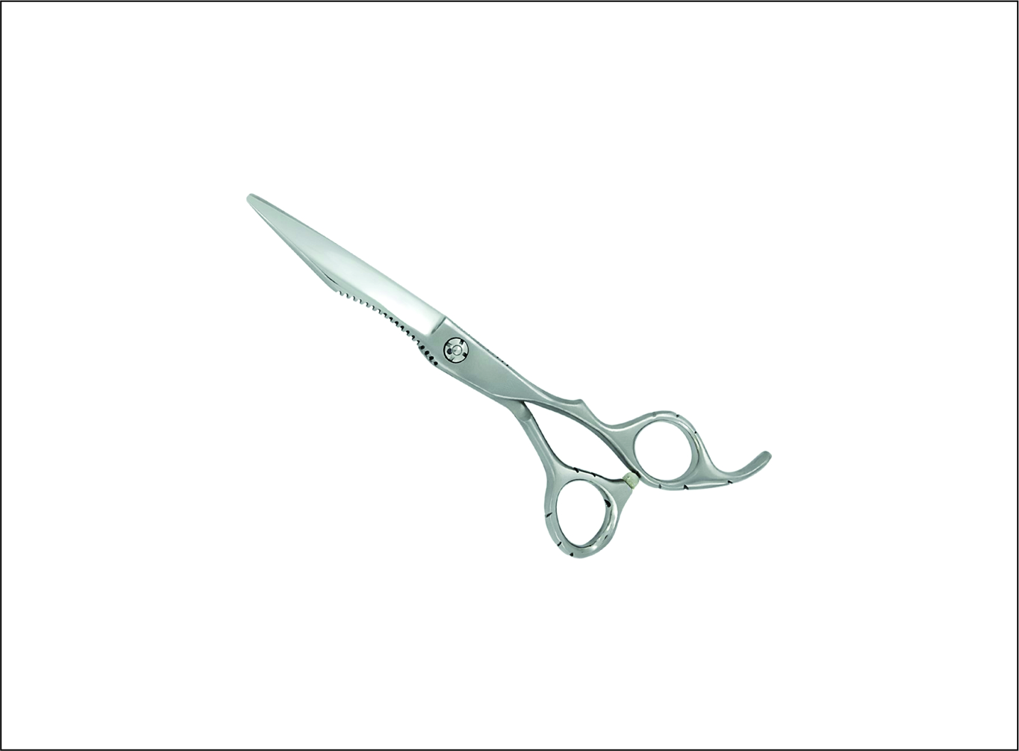 Professional Barber Scissors
