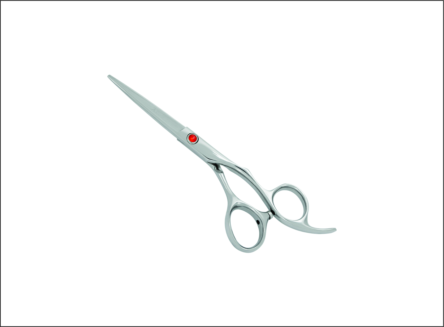 Professional Barber Scissors