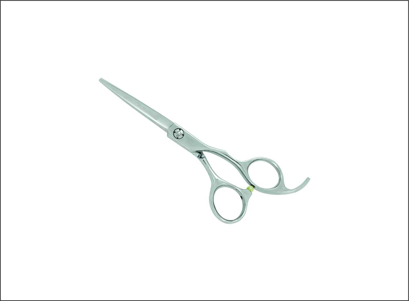 Professional Barber Scissors