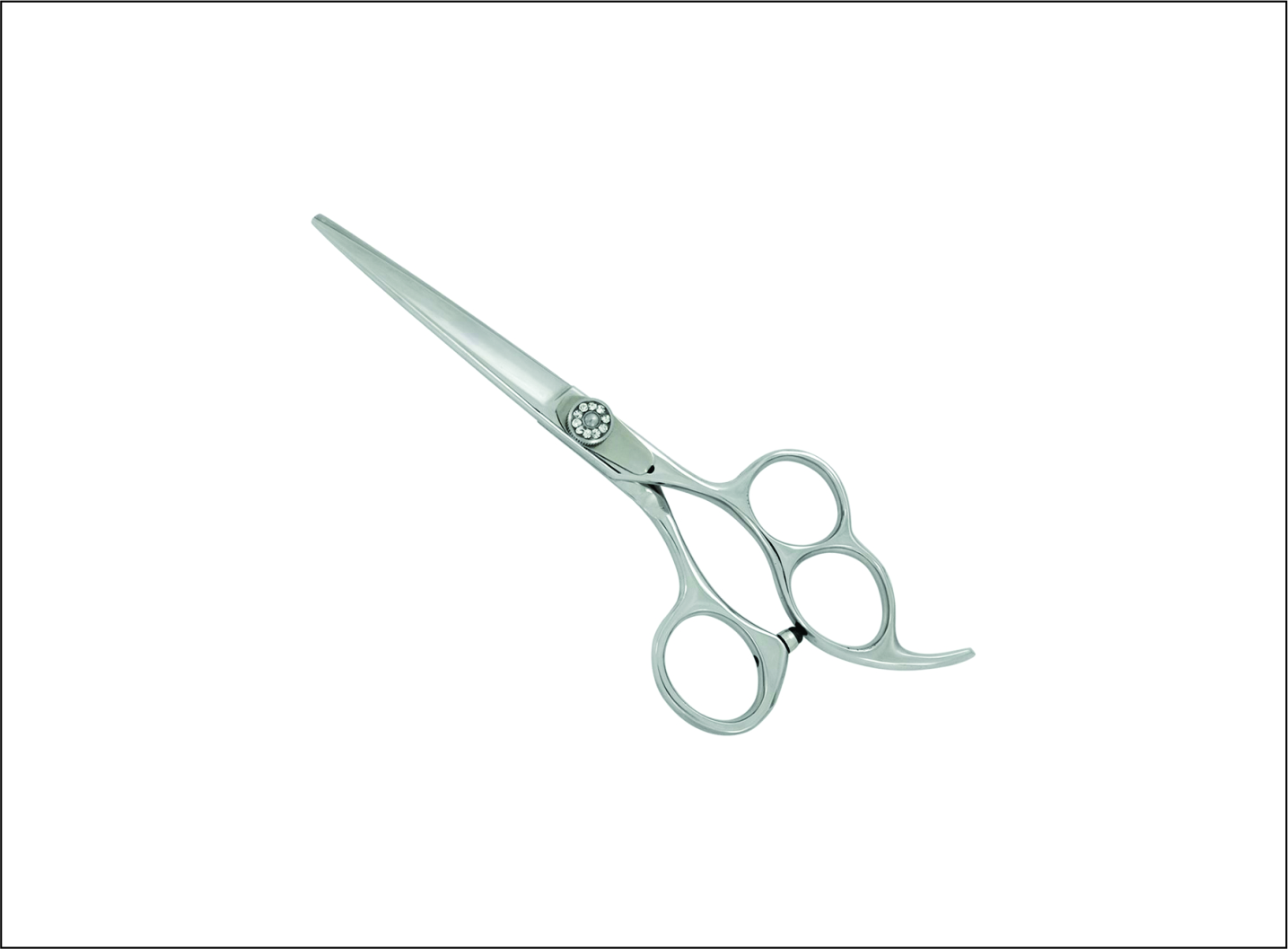 Professional Barber Scissors
