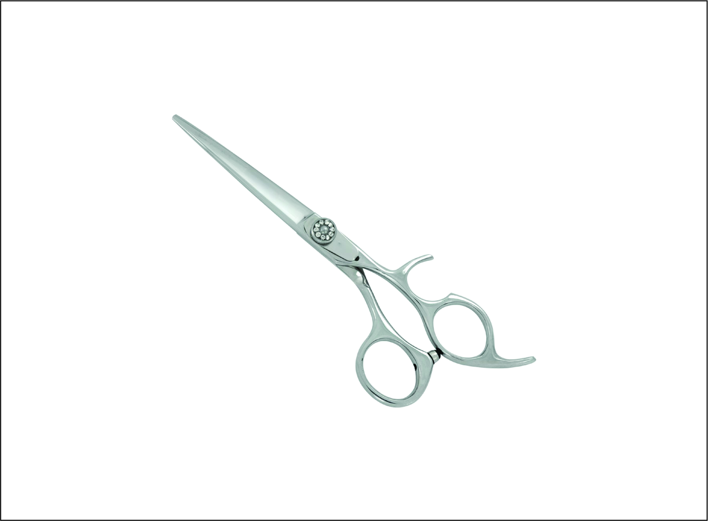 Professional Barber Scissors