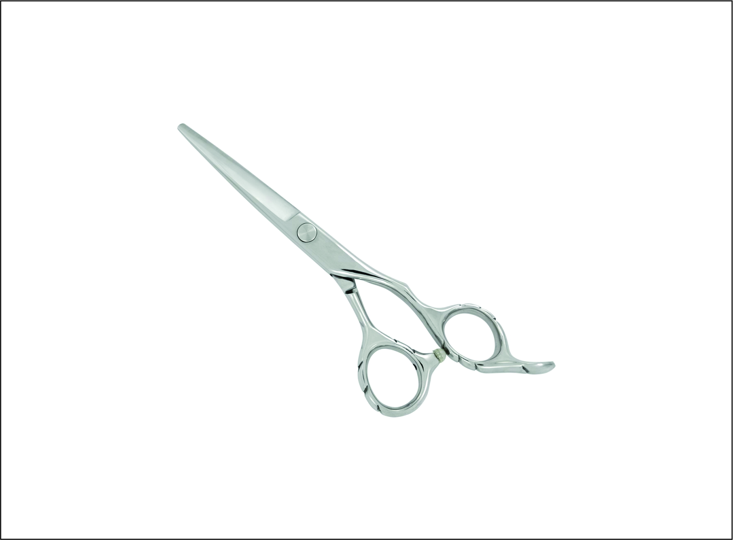 Professional Barber Scissors