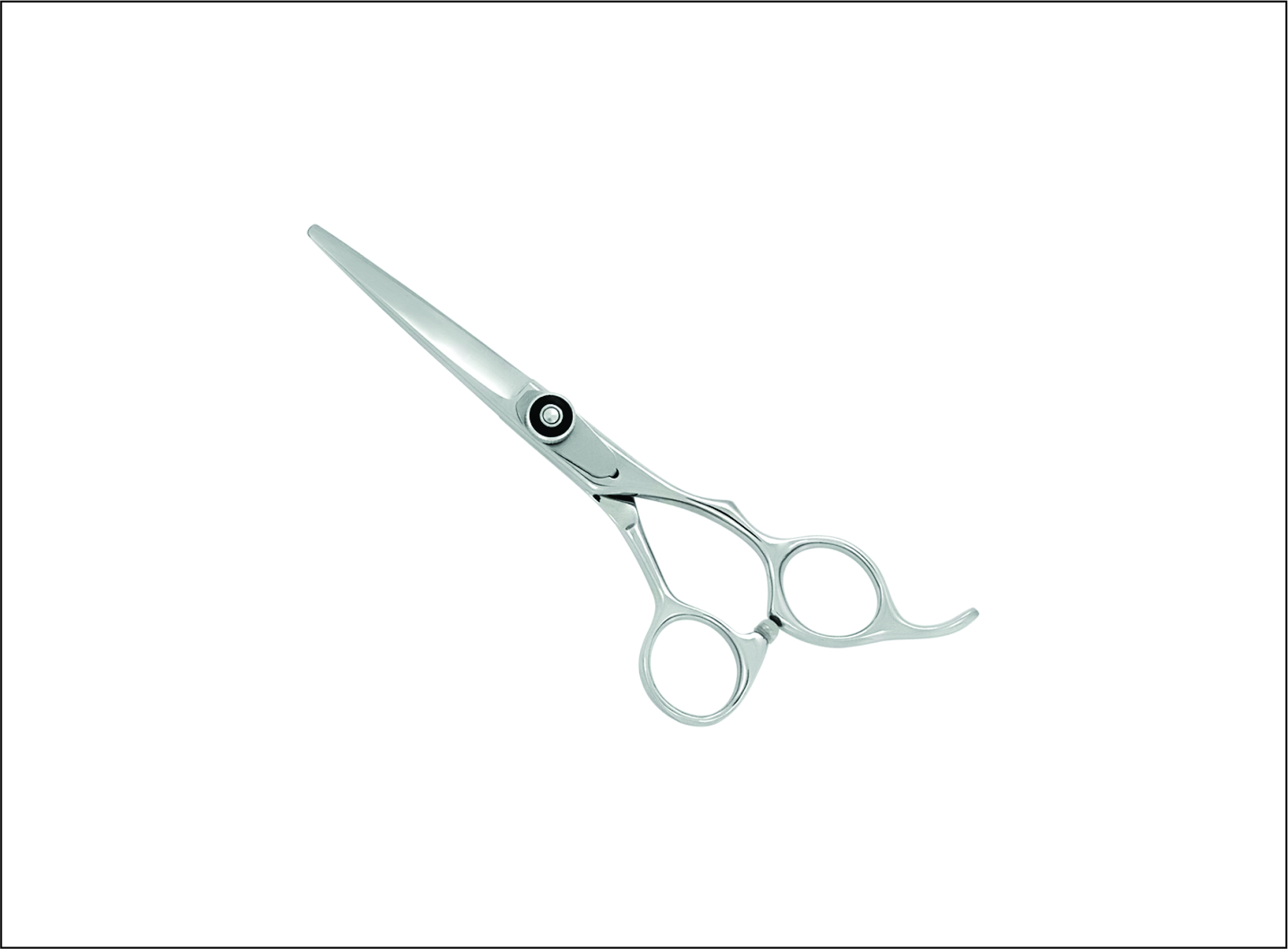 Professional Barber Scissors