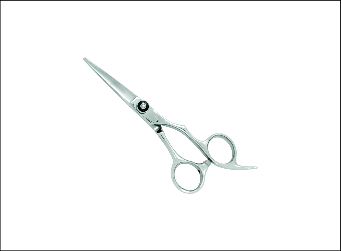 Professional Barber Scissors