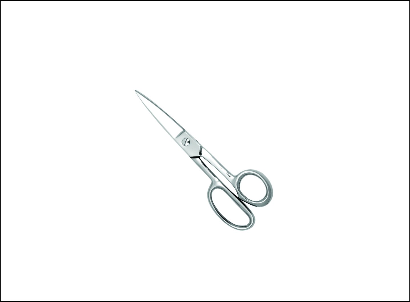 Professional Tailor Scissors