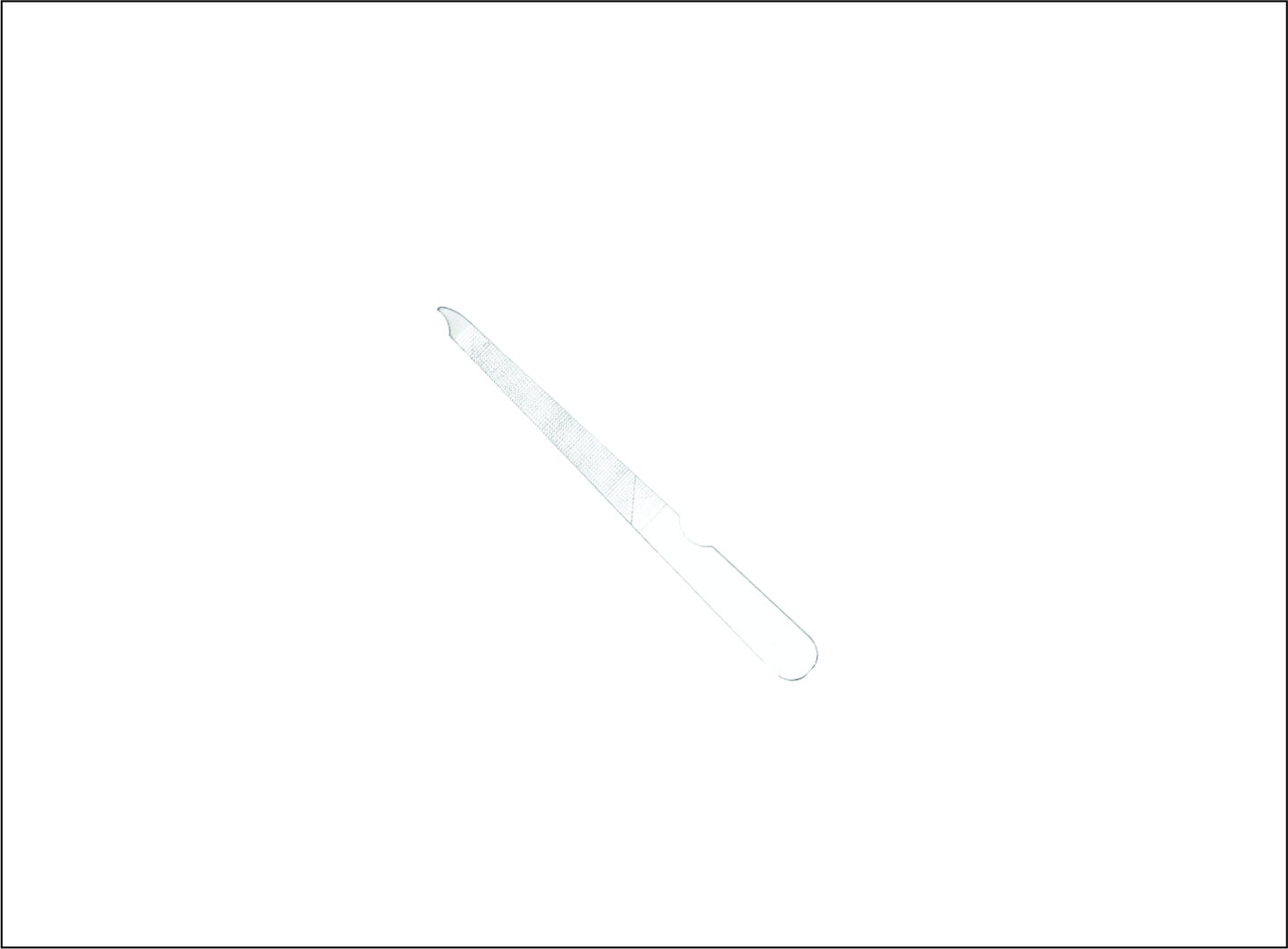 Nail & Foot File