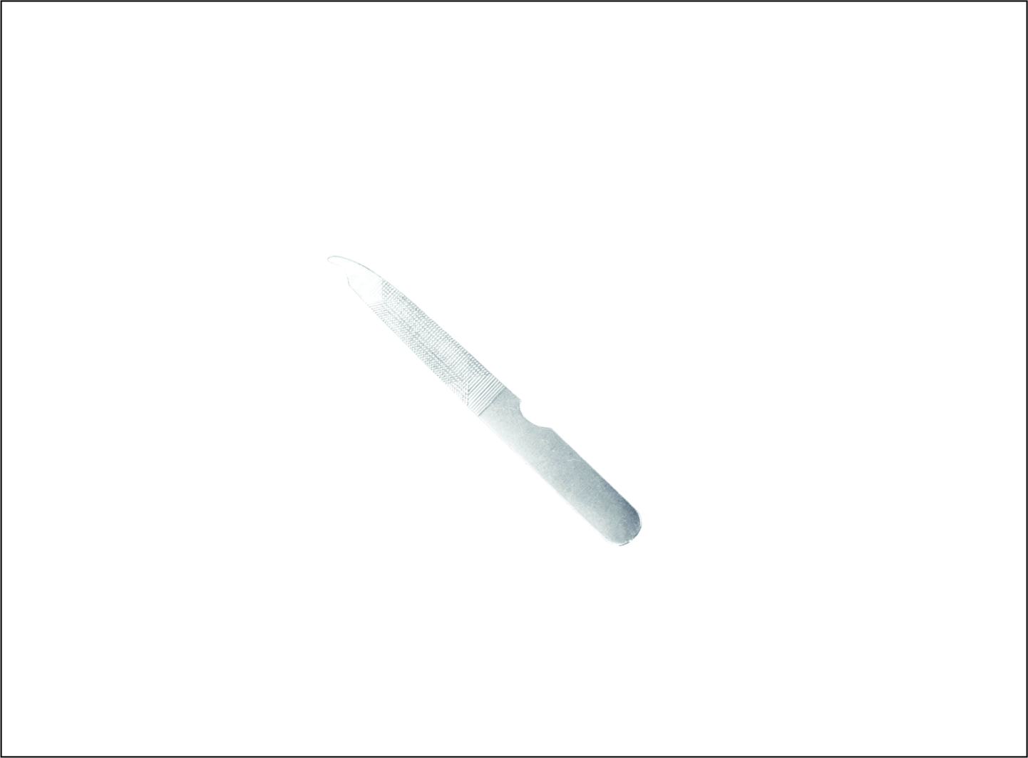 Nail & Foot File