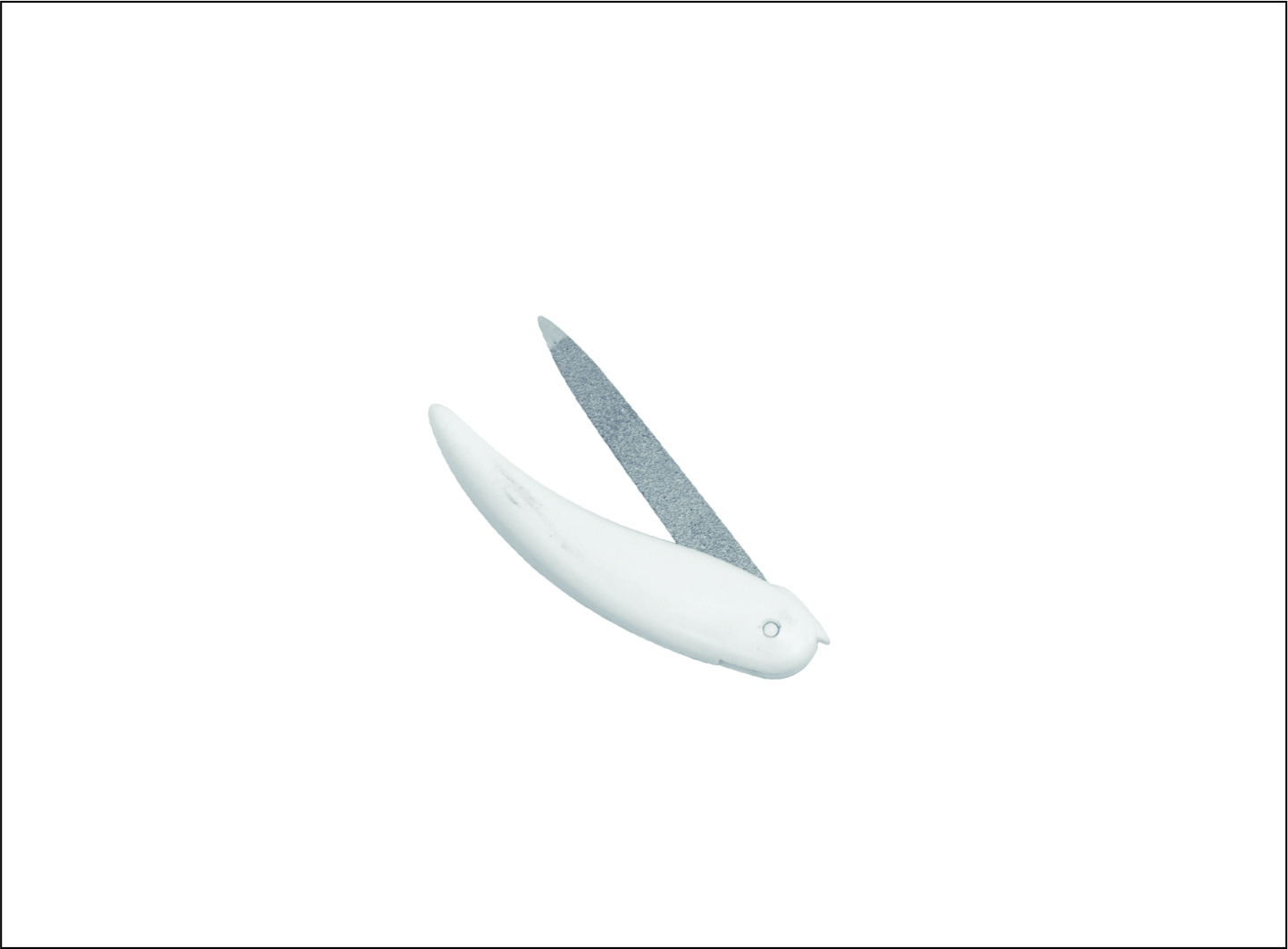 Nail & Foot File