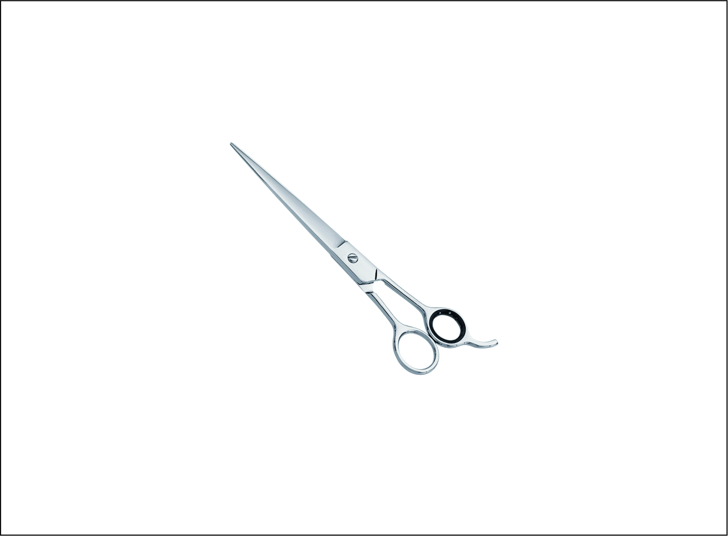 Pet Grooming Scissors