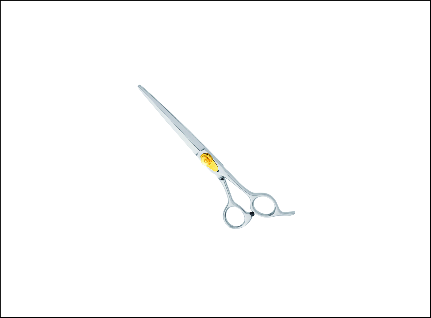 Professional Pet Grooming Scissors