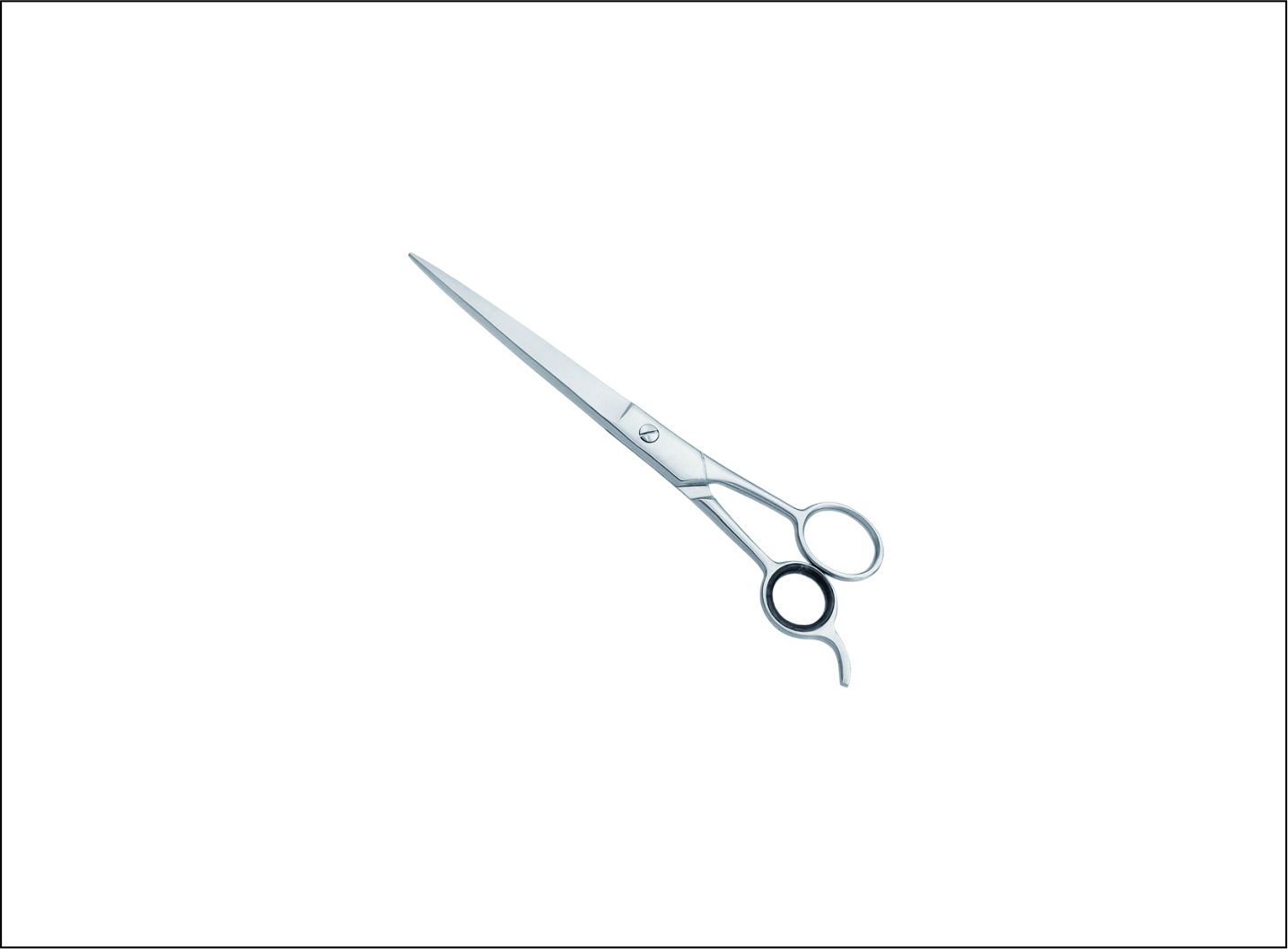 Professional Pet Grooming Scissors
