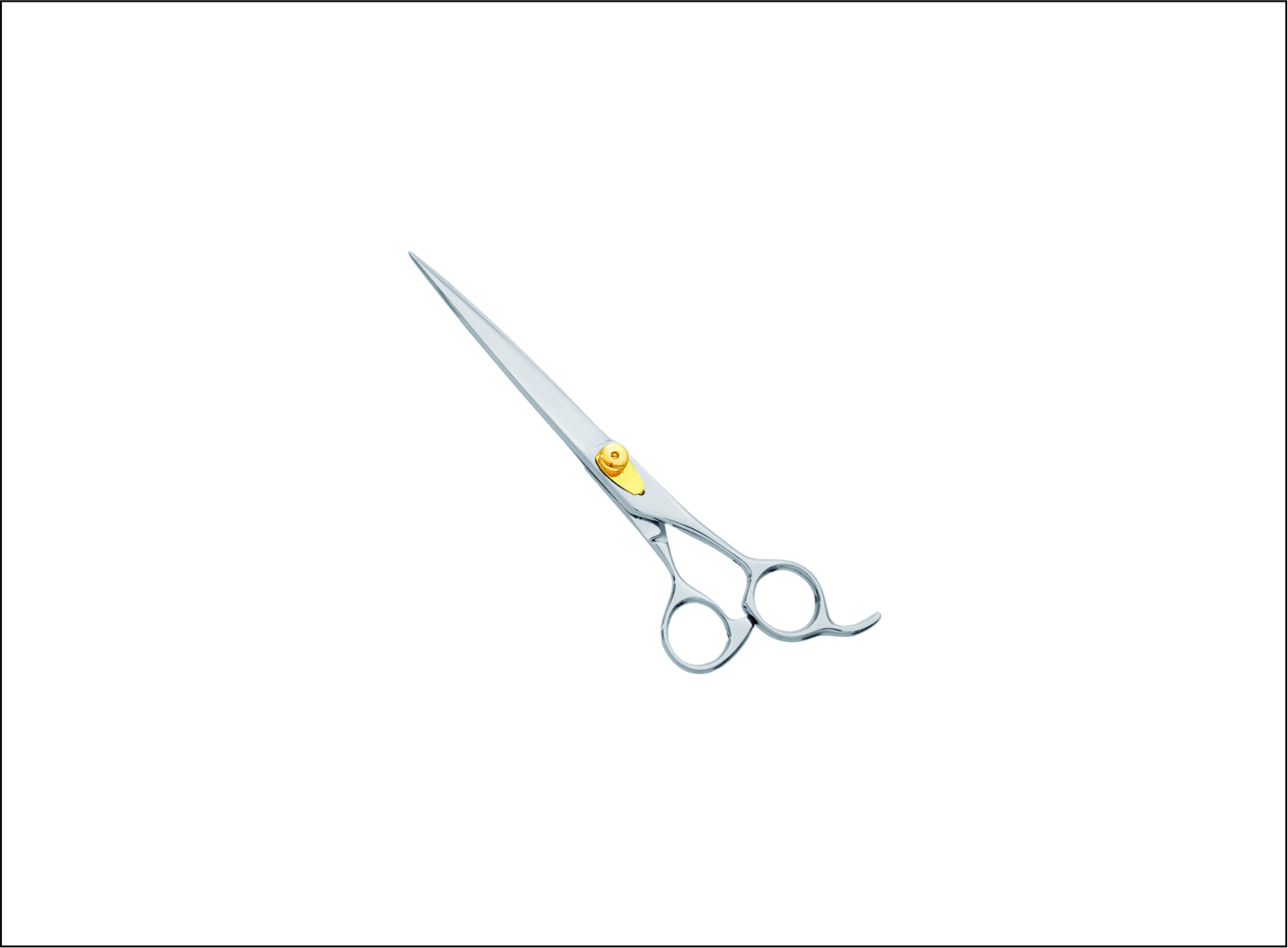 Professional Pet Grooming Scissors