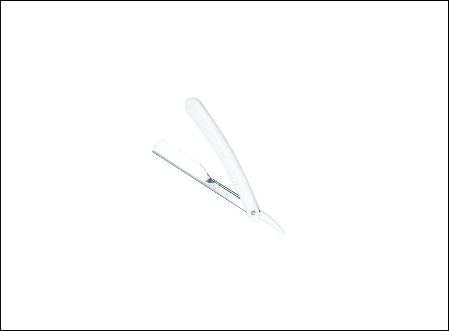 Shaving Razor