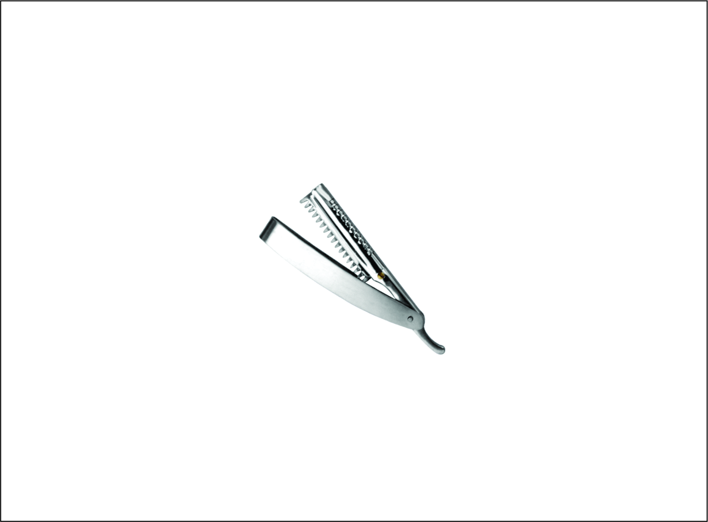 Shaving Razor