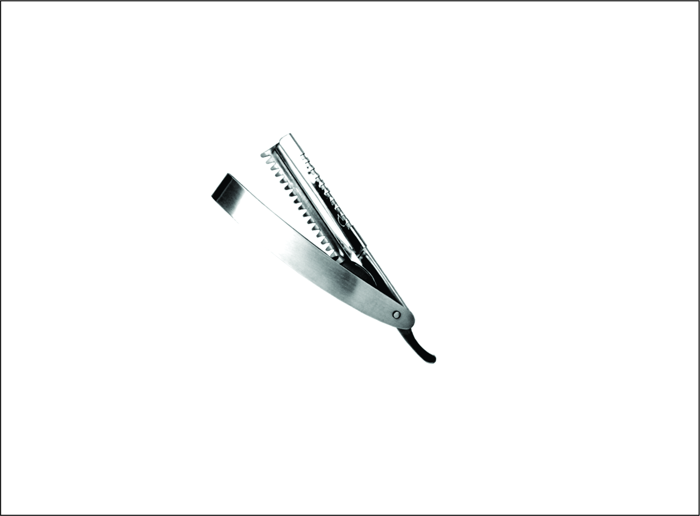 Shaving Razor