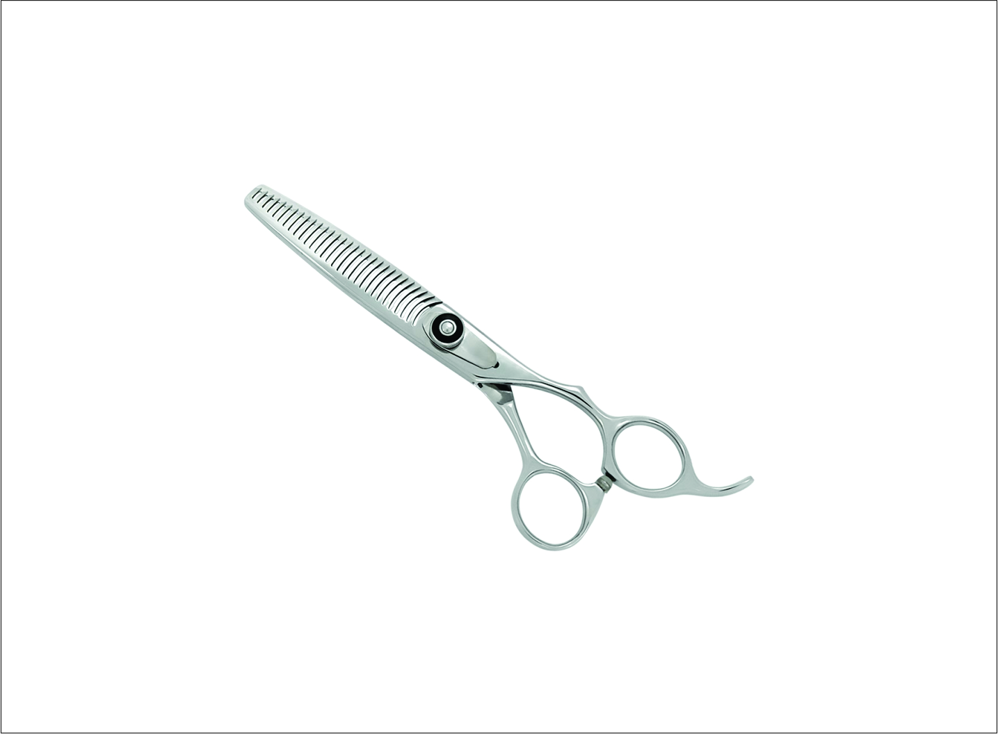 Professional Thinning Scissors