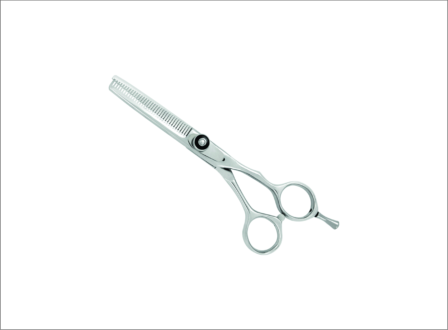 Professional Thinning Scissors