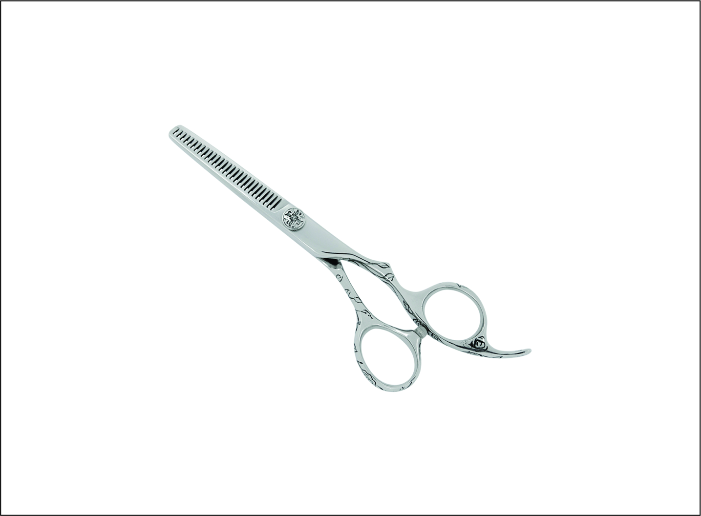 Professional Thinning Scissors
