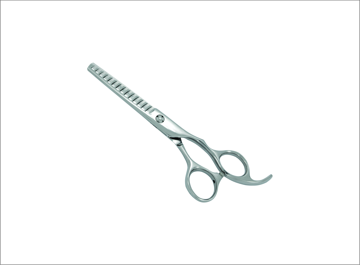 Professional Thinning Scissors