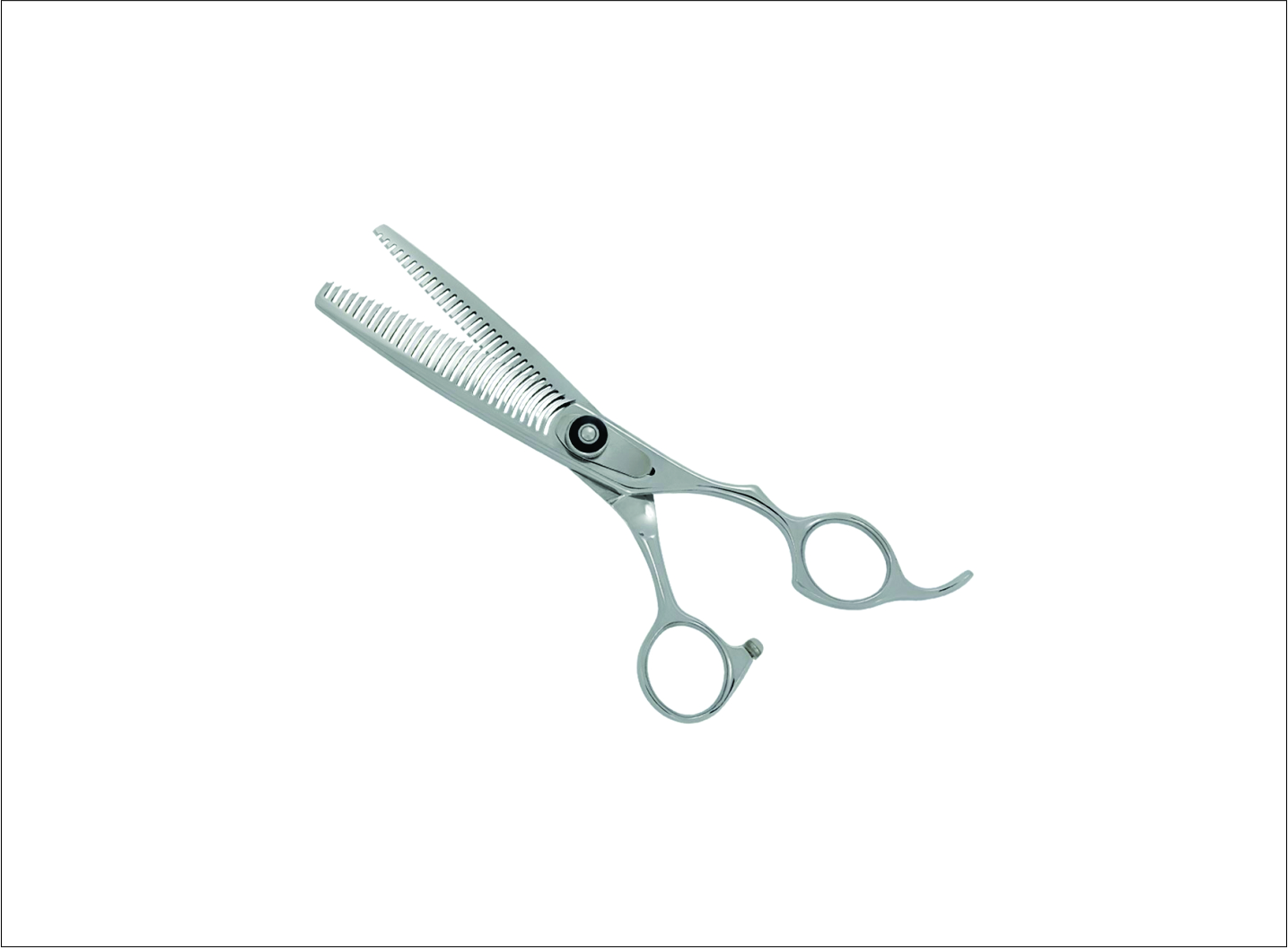 Professional Thinning Scissors
