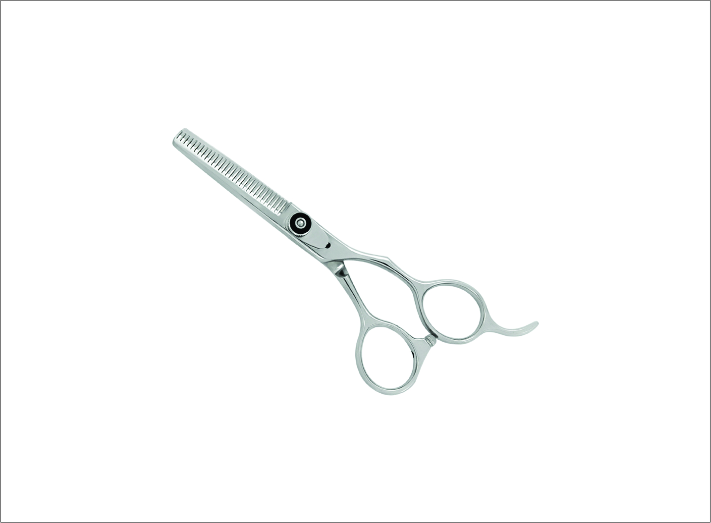 Professional Thinning Scissors