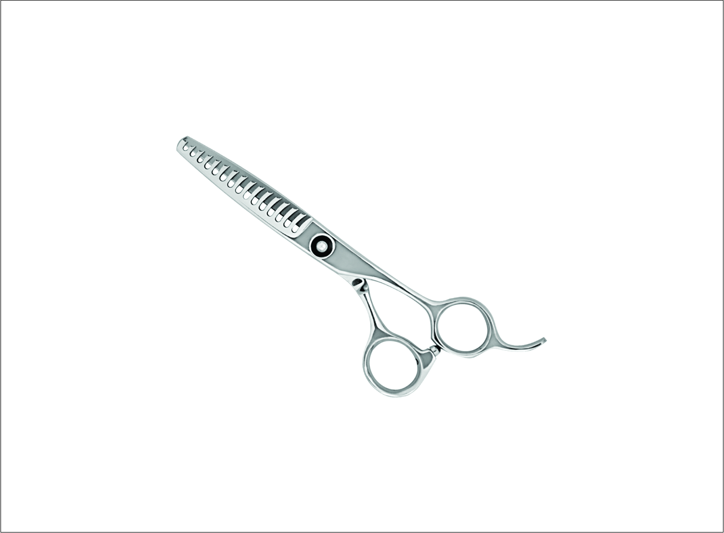 Professional Thinning Scissors