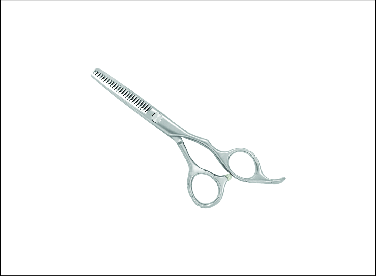 Professional Thinning Scissors