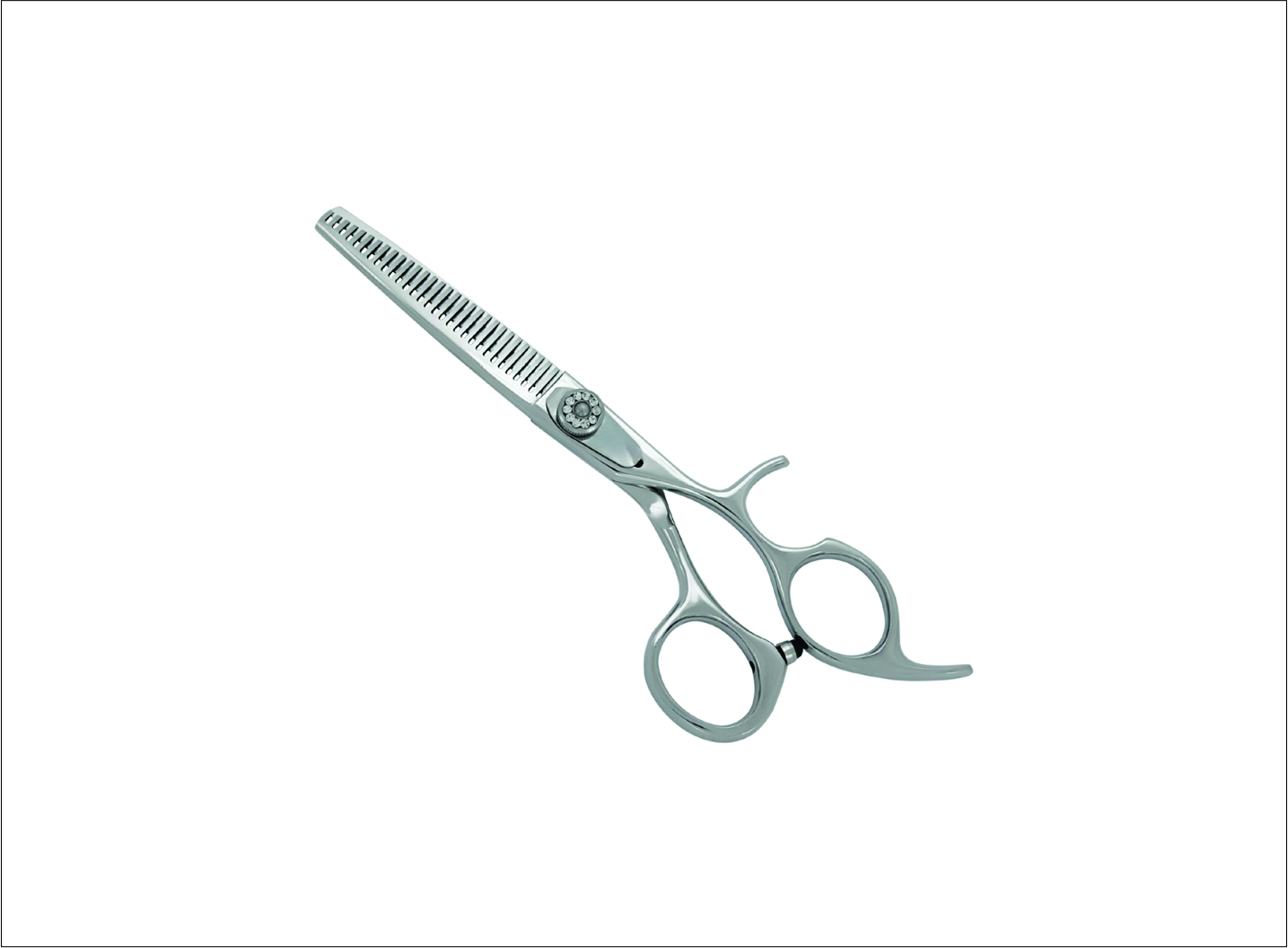 Professional Thinning Scissors