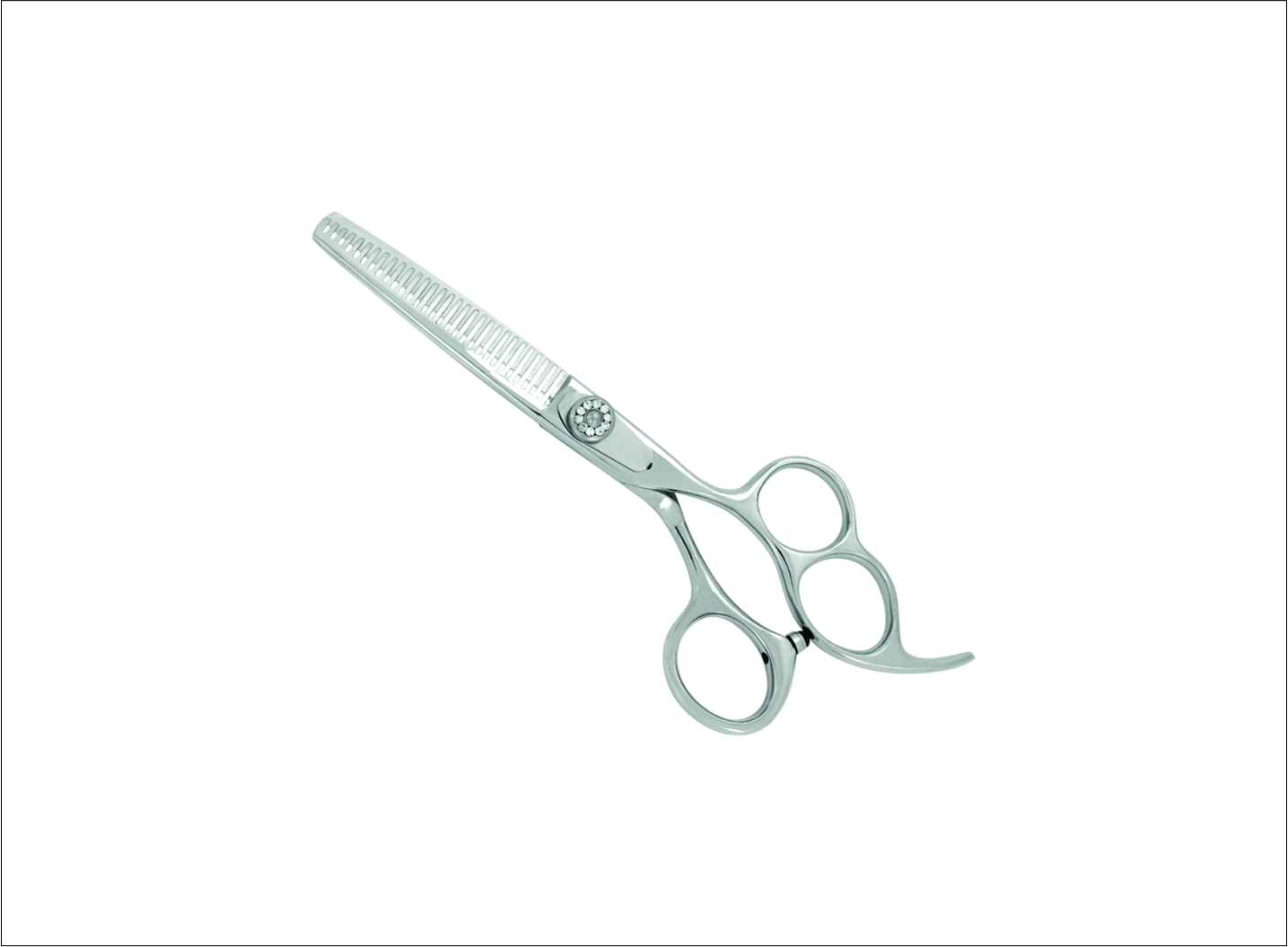 Professional Thinning Scissors