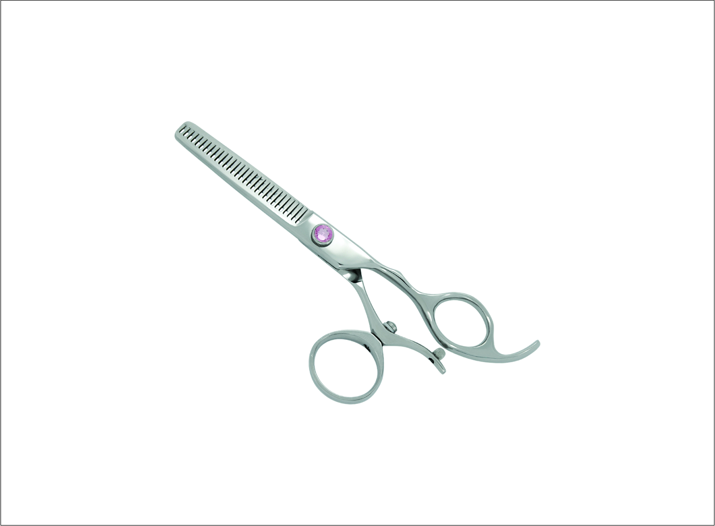 Professional Thinning Scissors