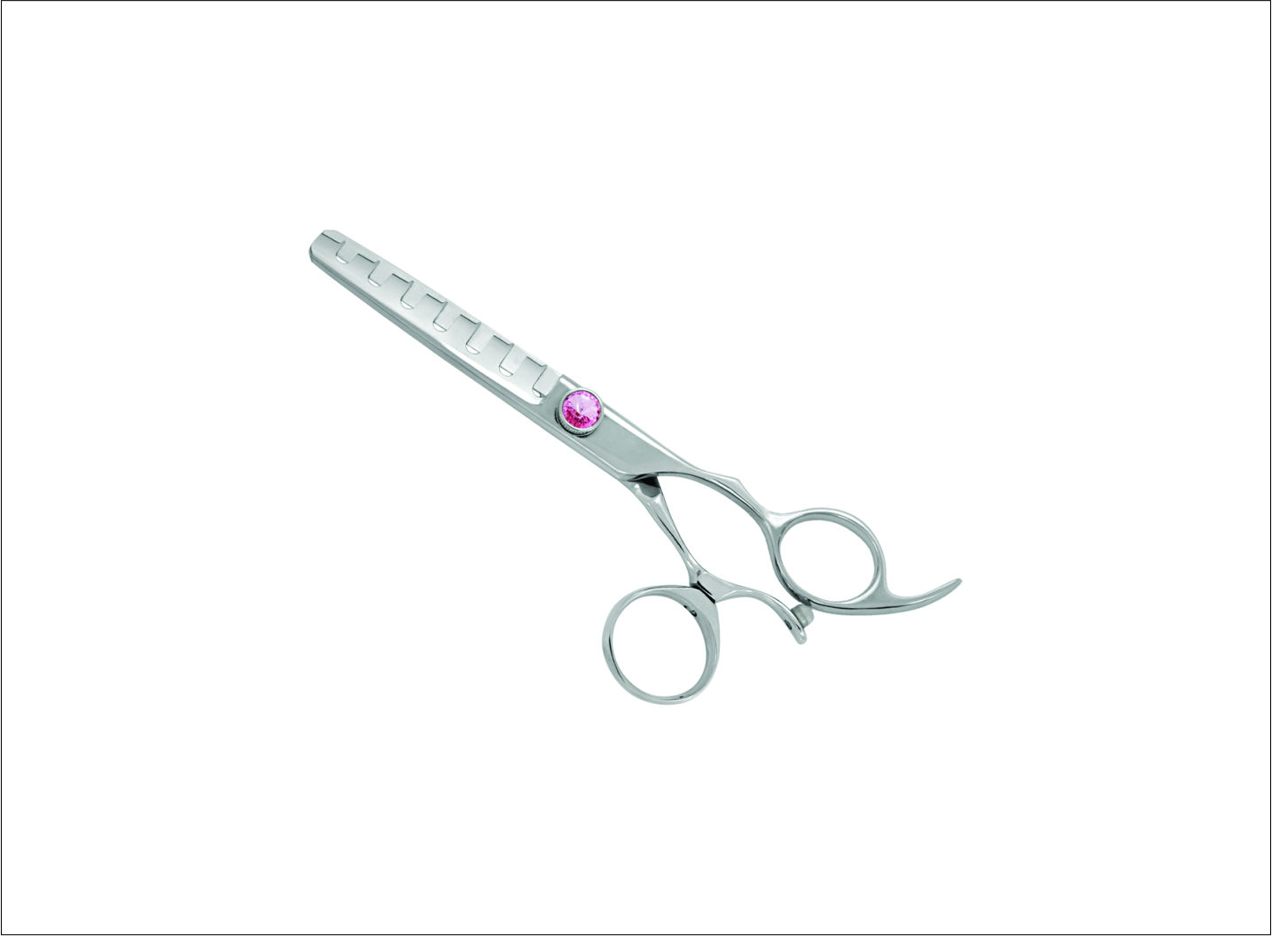 Professional Thinning Scissors