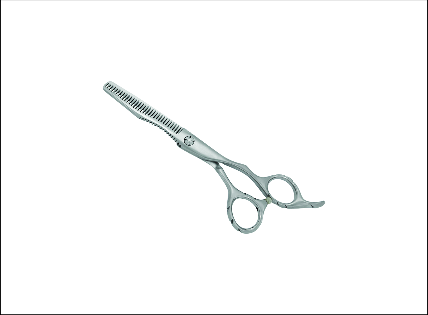 Professional Thinning Scissors