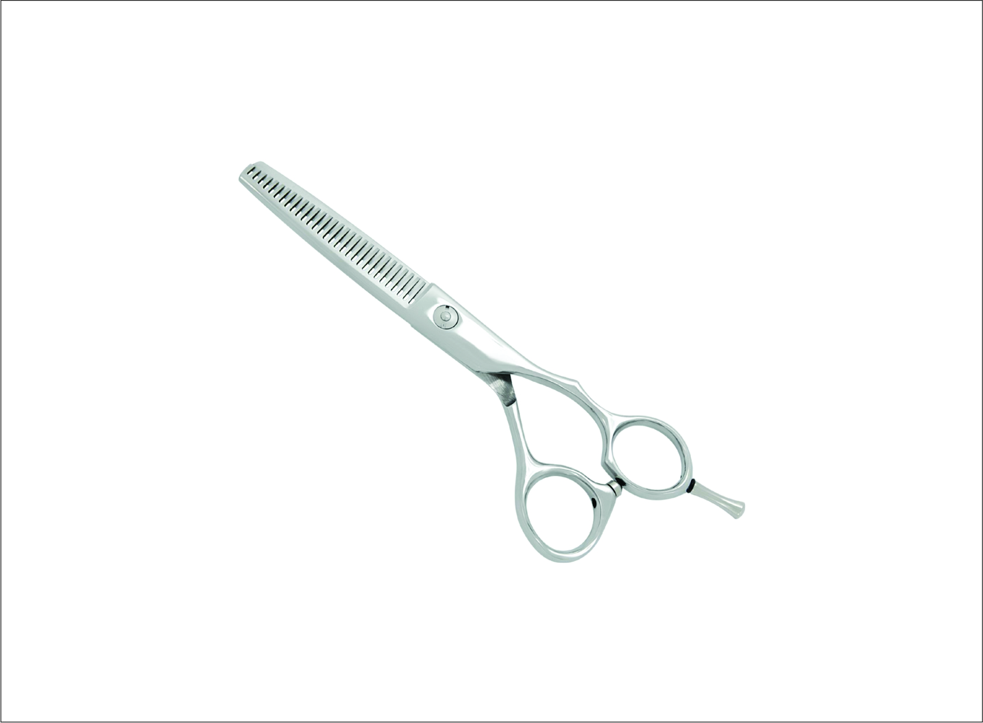 Professional Thinning Scissors