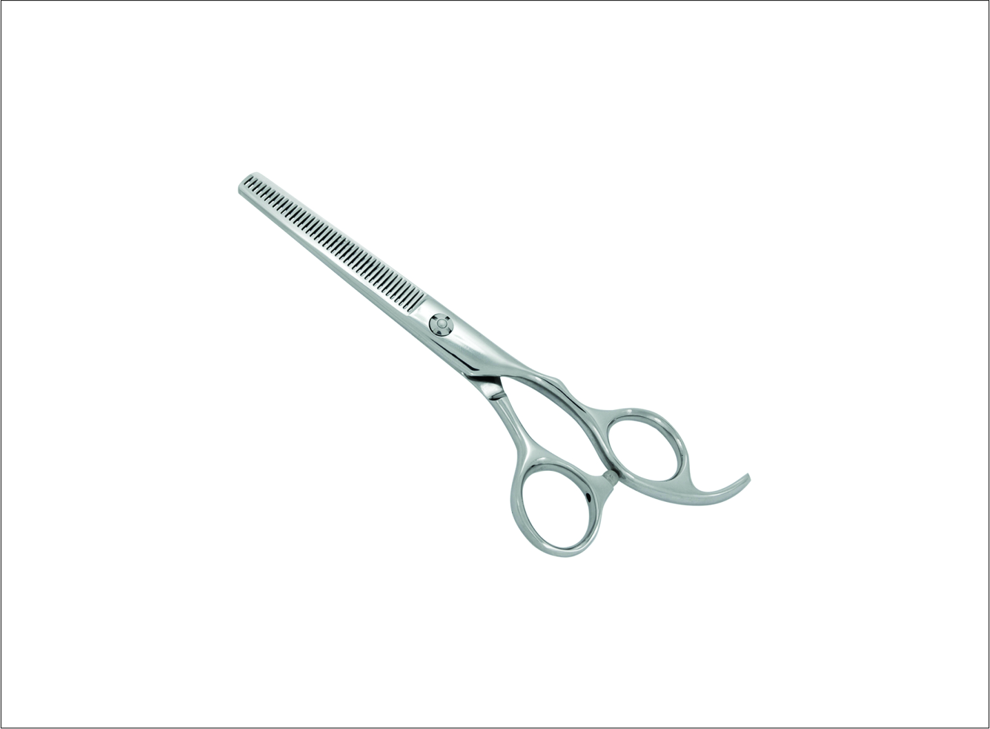 Professional Thinning Scissors