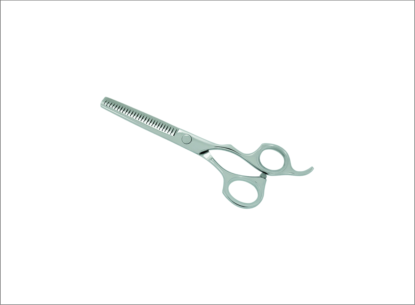 Professional Thinning Scissors